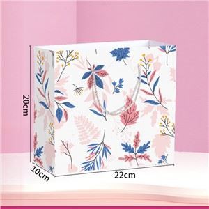 Custom Printed Paper Gift Bag